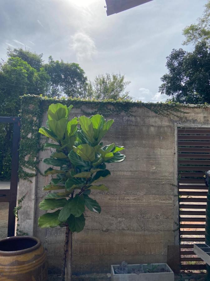 Forest Guesthouse Ban Don Muang  Exterior foto
